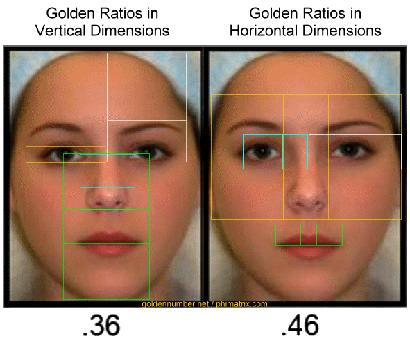 golden ratio in beautiful faces